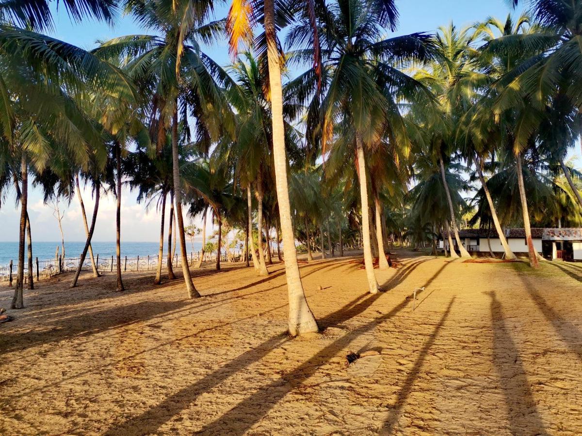 Helios Tangalle