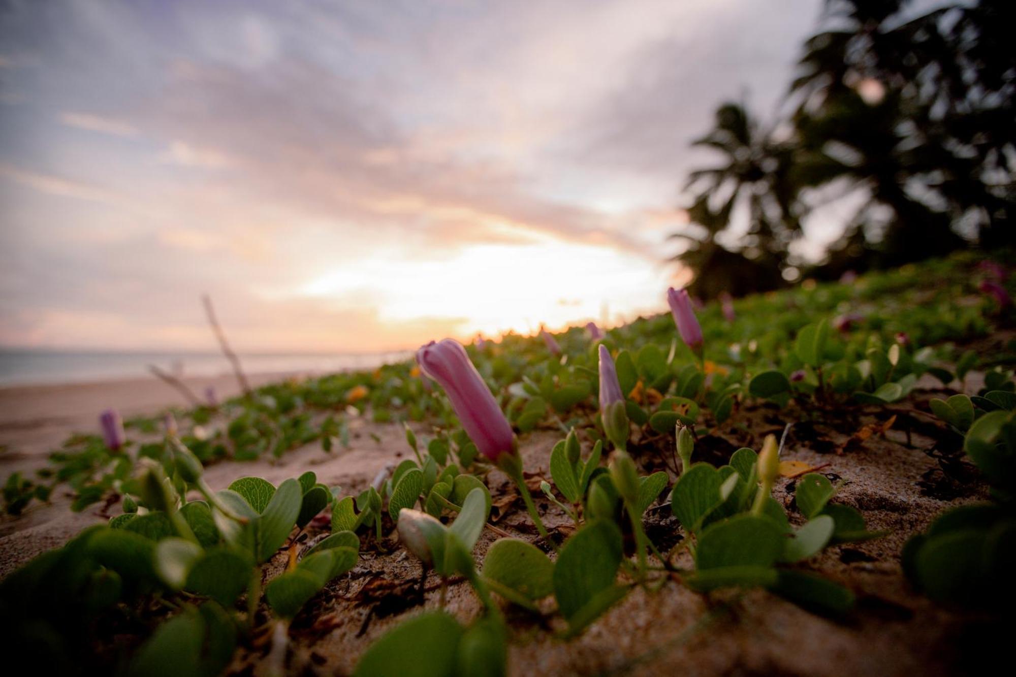 Helios 3* Tangalle